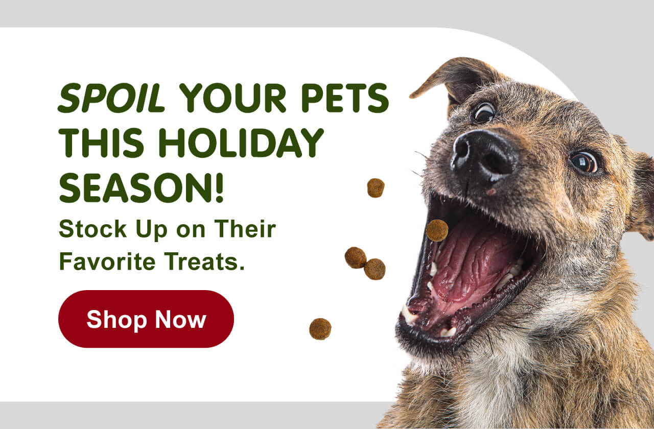 Spoil your pets this holiday season—stock up on their favorite treats